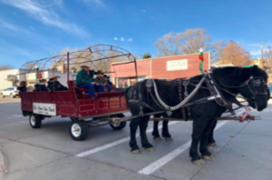 Picture of Sleigh Rides at Christmas at the Dells 2017